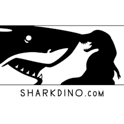 SharkDino.com